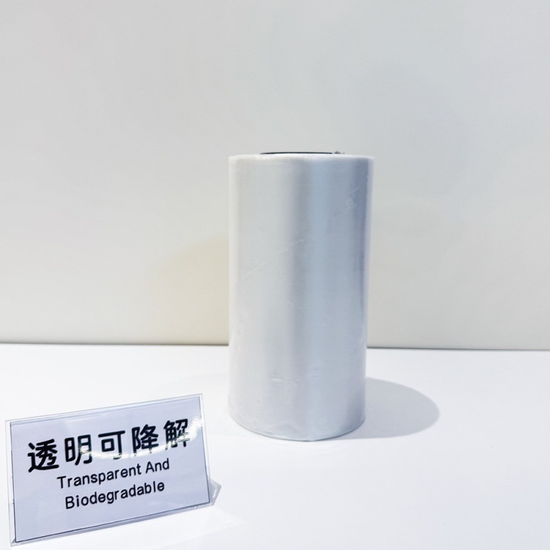 Transparent And Biodegradable